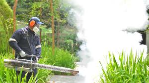 Best Fumigation Services  in Hlside, IL